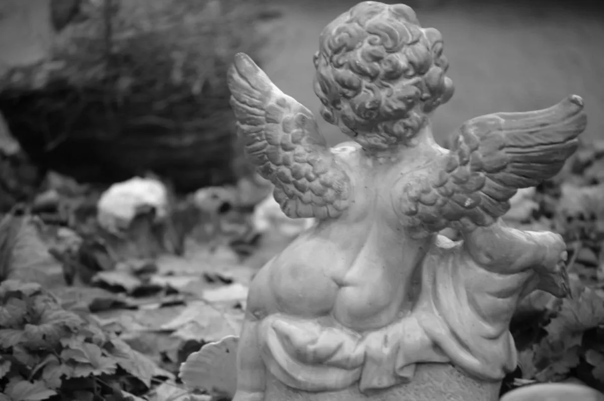 fallen angel